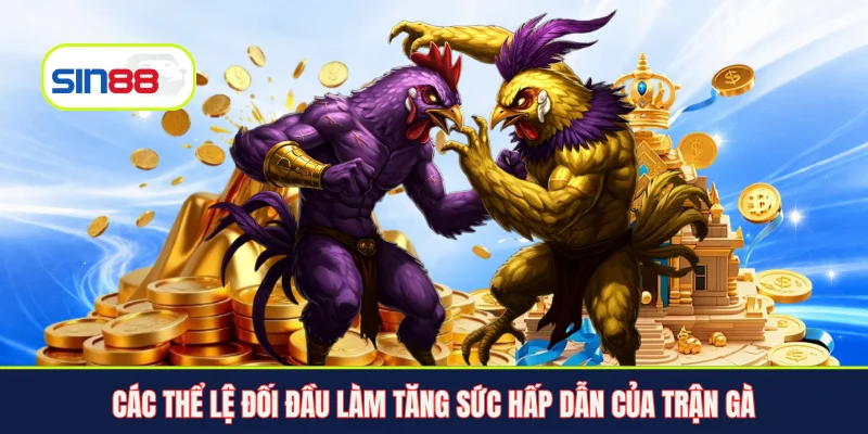 Các thể lệ đối đầu làm tăng sức hấp dẫn của trận gà