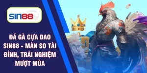 đá gà cựa dao