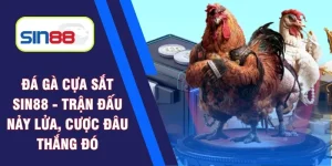 đá gà cựa sắt Sin88