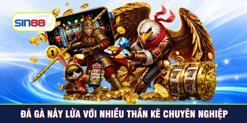 Đá gà nảy lửa với nhiều thần kê chuyên nghiệp