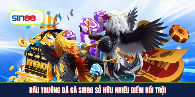 Đấu trường đá gà Sin88 sở hữu nhiều điểm nổi trội