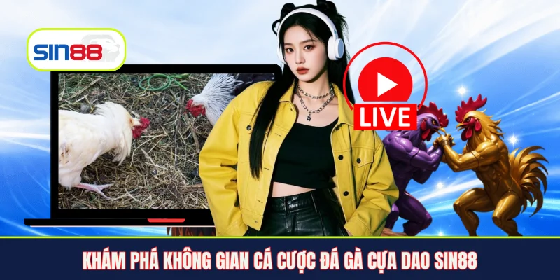 Khám phá không gian cá cược đá gà cựa dao Sin88