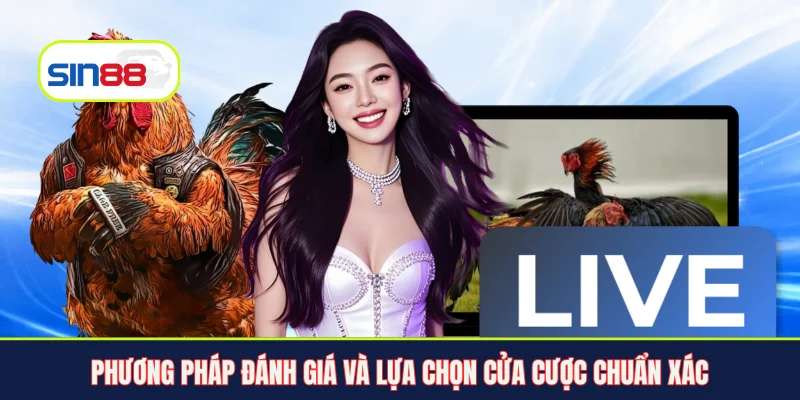Phương pháp đánh giá và lựa chọn cửa cược chuẩn xác