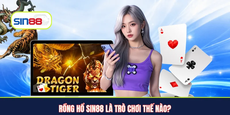 Rồng Hổ Sin88 là trò chơi thế nào?