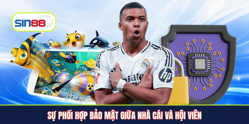 Sự phối hợp bảo mật giữa nhà cái và hội viên