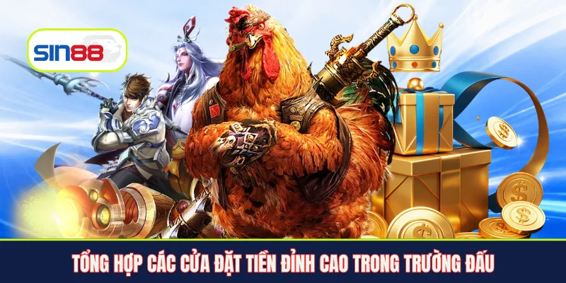 Tổng hợp các cửa đặt tiền đỉnh cao trong trường đấu